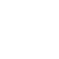 Human Brain 1 1